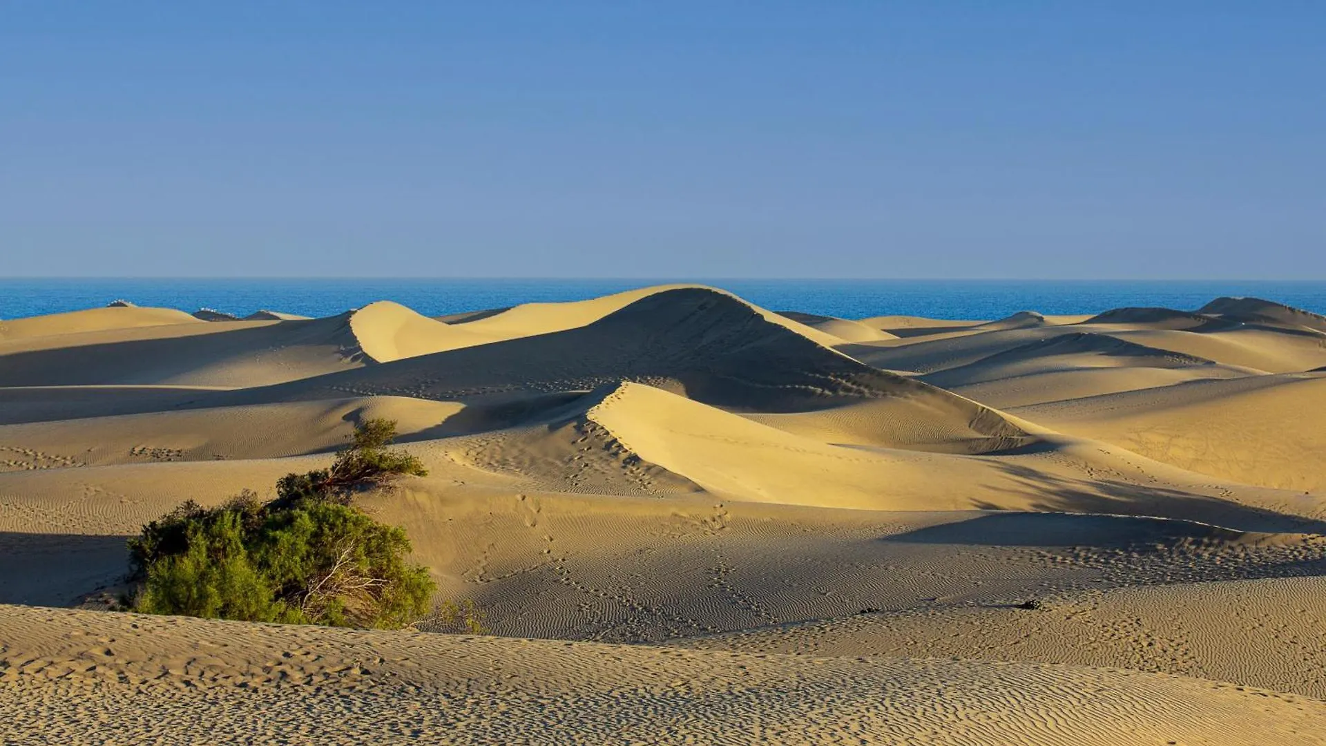 Casa vacanze Marbella Golf 101 By Pride Holiday Rentals Maspalomas  Spagna